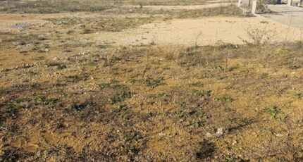 Peyrolles-en-Provence Terrain à bâtir - 2407090-11677annonce120260126cCk2g.jpeg Maisons Open