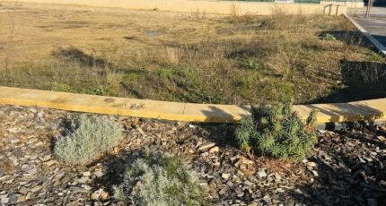 Peyrolles-en-Provence Terrain à bâtir - 2407090-11677annonce220260126nyvsq.jpeg Maisons Open