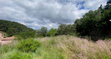 Carnoules Terrain à bâtir - 2407046-11136annonce220260126N9Xcz.jpeg Maisons Open