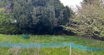 Lieusaint Terrain à bâtir - 2405375-5508annonce1202601247TQRA.jpeg Maisons Open