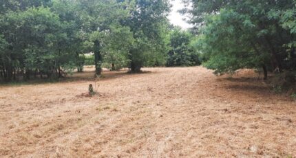 Salles Terrain à bâtir - 2407402-11151annonce1202507226C14r.jpeg Maisons Open