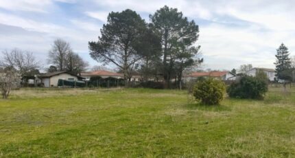 Ychoux Terrain à bâtir - 2407725-3127annonce120260127SqzhP.jpeg Maisons Open