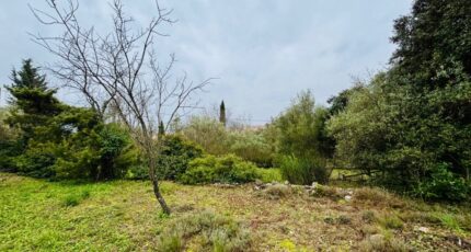 Carnoules Terrain à bâtir - 2407716-9707annonce320260127IQrmA.jpeg Maisons Open