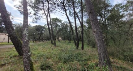 Suze-la-Rousse Terrain à bâtir - 2303368-812annonce320250618GpJU9.jpeg Maisons Open