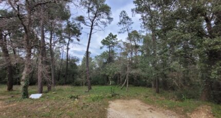 Suze-la-Rousse Terrain à bâtir - 2303368-812annonce420250618S9UXM.jpeg Maisons Open