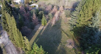 Allan Terrain à bâtir - 2303393-812annonce420241105KiTst.jpeg Maisons Open