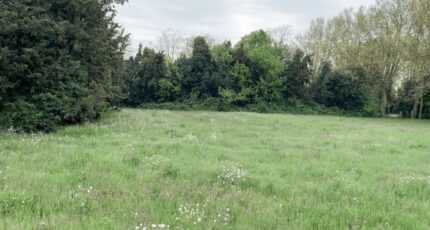 Lapalud Terrain à bâtir - 2341453-812annonce1202411059RvDG.jpeg Maisons Open