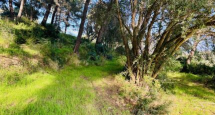 La Seyne-sur-Mer Terrain à bâtir - 2407759-9707annonce120260127xQOpt.jpeg Maisons Open