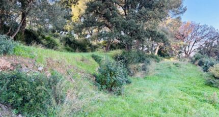 La Seyne-sur-Mer Terrain à bâtir - 2407759-9707annonce320260127Ck5tG.jpeg Maisons Open