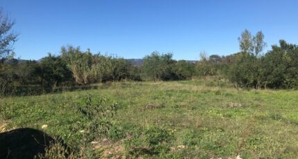 Sauteyrargues Terrain à bâtir - 2304715-10245annonce120251014N6muu.jpeg Maisons Open