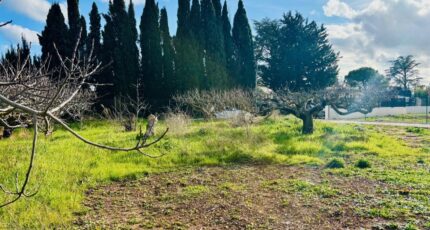 La Farlède Terrain à bâtir - 2407812-9707annonce1202601273nHRu.jpeg Maisons Open