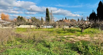 La Farlède Terrain à bâtir - 2407812-9707annonce320260127X4kQC.jpeg Maisons Open