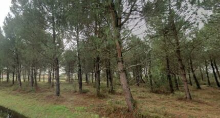 Andernos-les-Bains Terrain à bâtir - 2407853-10481annonce120240830SITTB.jpeg Maisons Open