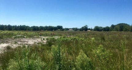 Le Barp Terrain à bâtir - 2407867-11151annonce120250721D2MDK.jpeg Maisons Open