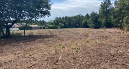 Mimizan Terrain à bâtir - 2407892-10481annonce120241209ycOZC.jpeg Maisons Open