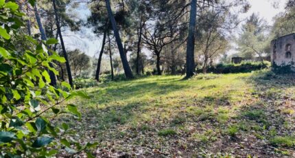 Ollioules Terrain à bâtir - 2408167-9707annonce220260127oNRA9.jpeg Maisons Open