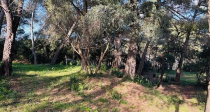 Ollioules Terrain à bâtir - 2408167-9707annonce5202601279kaHv.jpeg Maisons Open