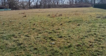 Pessac Terrain à bâtir - 2408110-1686annonce120260127eM8q2.jpeg Maisons Open