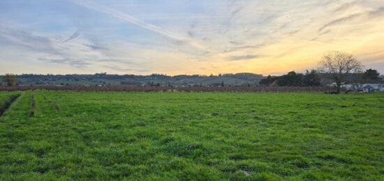 Terrain à bâtir à Saint-Laurent-des-Vignes, Nouvelle-Aquitaine