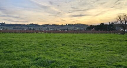 Saint-Laurent-des-Vignes Terrain à bâtir - 2408343-7107annonce4202601279C8cJ.jpeg Maisons Open