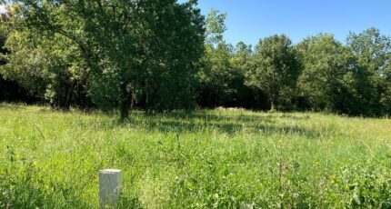 Saint-Vaize Terrain à bâtir - 2408123-1046annonce1202507096vPpr.jpeg Maisons Open