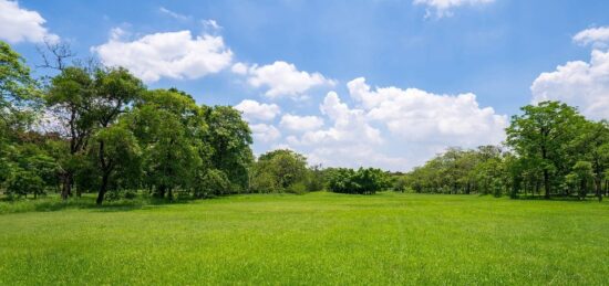 Terrain à bâtir à Saint-Quentin-de-Baron, Nouvelle-Aquitaine