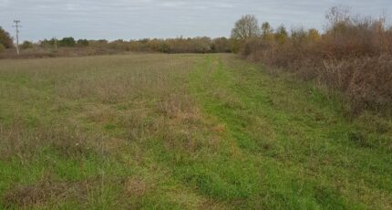 Saint-Ciers-d'Abzac Terrain à bâtir - 2408602-1686annonce120260127N6d8H.jpeg Maisons Open