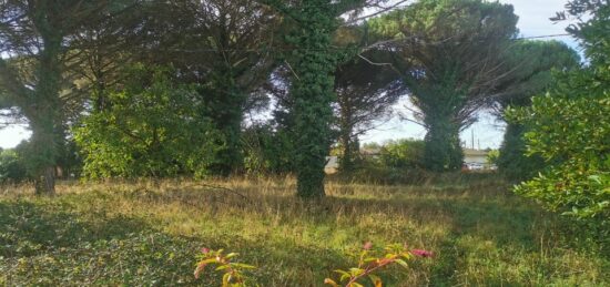 Terrain à bâtir à Saint-Maixant, Nouvelle-Aquitaine