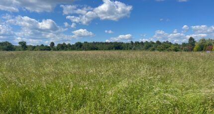 Pompéjac Terrain à bâtir - 2408744-10677annonce120260127lavvm.jpeg Maisons Open