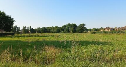 Montpon-Ménestérol Terrain à bâtir - 2408753-5020annonce120260127U5mLA.jpeg Maisons Open