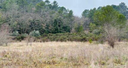 Méounes-lès-Montrieux Terrain à bâtir - 2408977-9707annonce520260127iv2ks.jpeg Maisons Open