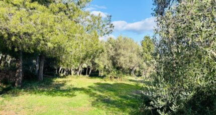 Ollioules Terrain à bâtir - 2408797-9707annonce320260127yP0kl.jpeg Maisons Open