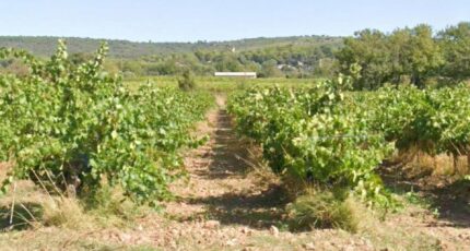 Pourrières Terrain à bâtir - 2407728-7054annonce320260127pbcMe.jpeg Maisons Open