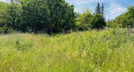 Montmeyan Terrain à bâtir - 2409018-9707annonce5202601278UvLo.jpeg Maisons Open