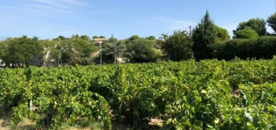 Terrain à bâtir à Vacqueyras, Provence-Alpes-Côte d'Azur