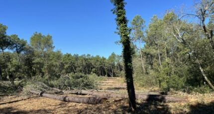 Suze-la-Rousse Terrain à bâtir - 2409241-3418annonce120251006NBlT1.jpeg Maisons Open