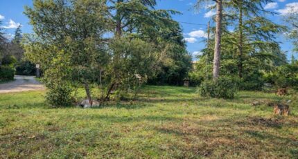 Saint-Maximin-la-Sainte-Baume Terrain à bâtir - 2408888-11137annonce1202601276rx3J.jpeg Maisons Open