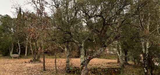 Terrain à bâtir à Vidauban, Provence-Alpes-Côte d'Azur