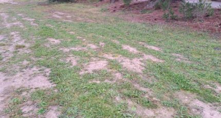 Le Puy-Sainte-Réparade Terrain à bâtir - 2409431-11041annonce220260127TizTm.jpeg Maisons Open