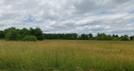 Vallères Terrain à bâtir - 2406586-9897annonce120260126lfvyV.jpeg Maisons Open