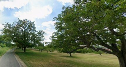 Lignières-de-Touraine Terrain à bâtir - 2406549-9897annonce120260126pD2iV.jpeg Maisons Open