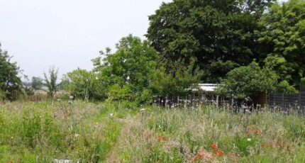 Cuts Terrain à bâtir - 2313898-4496annonce120251022FZIch.jpeg Maisons Open