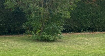 Domont Terrain à bâtir - 2339154-7109annonce120251114dcvSQ.jpeg Maisons Open