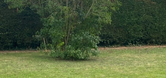 Terrain à bâtir à Domont, Île-de-France