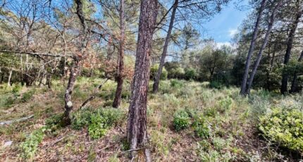 Rocbaron Terrain à bâtir - 2409550-9707annonce120260128i4K6x.jpeg Maisons Open