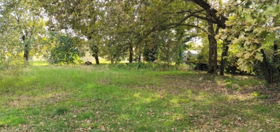 Terrain à bâtir à Biscarrosse, Nouvelle-Aquitaine
