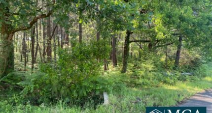 Sanguinet Terrain à bâtir - 2409495-5828annonce120251022T4HTK.jpeg Maisons Open