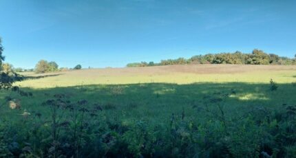 Saint-Genès-de-Lombaud Terrain à bâtir - 2410109-1686annonce120260128PR03m.jpeg Maisons Open