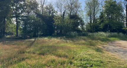 Lesparre-Médoc Terrain à bâtir - 2328576-10624annonce120251105XWQrD.jpeg Maisons Open