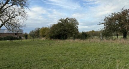 Masny Terrain à bâtir - 2409895-10063annonce220260128ATwqm.jpeg Maisons Open
